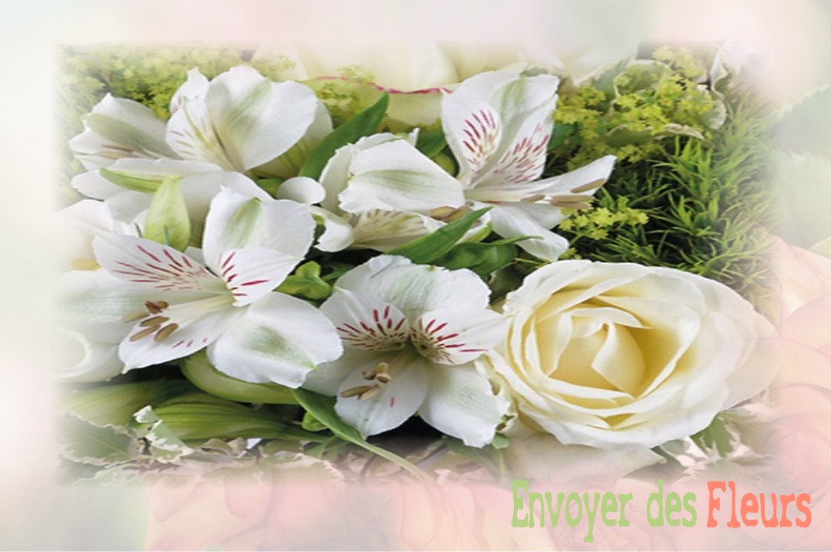 envoyer des fleurs à à VILLENAUXE-LA-PETITE